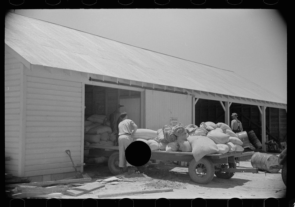 [Untitled photo, possibly related to: Loading supplies into shed, Wabash Farms, Indiana]. Sourced from the Library of…