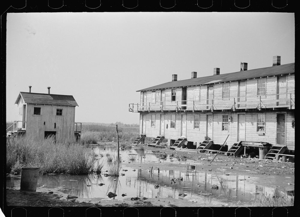 Workers in oyster industry live in shacks like this. Mosquitoes breed in everpresent pools of water, Shellpile, New Jersey.…