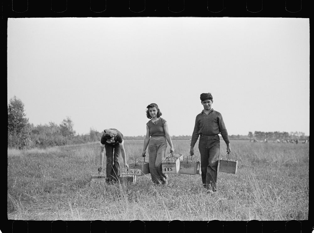 Cranberry pickers on way to checking station, Burlington County, New Jersey. Sourced from the Library of Congress.
