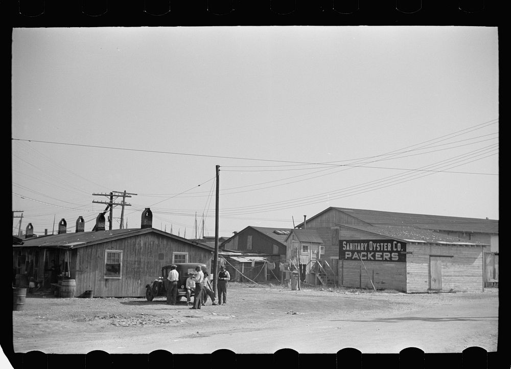 Shacks used to house workers, Shellpile, New Jersey, in oyster packing plant. Sourced from the Library of Congress.
