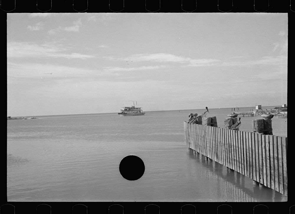[Untitled photo, possibly related to: Ferry, Key West, Florida]. Sourced from the Library of Congress.