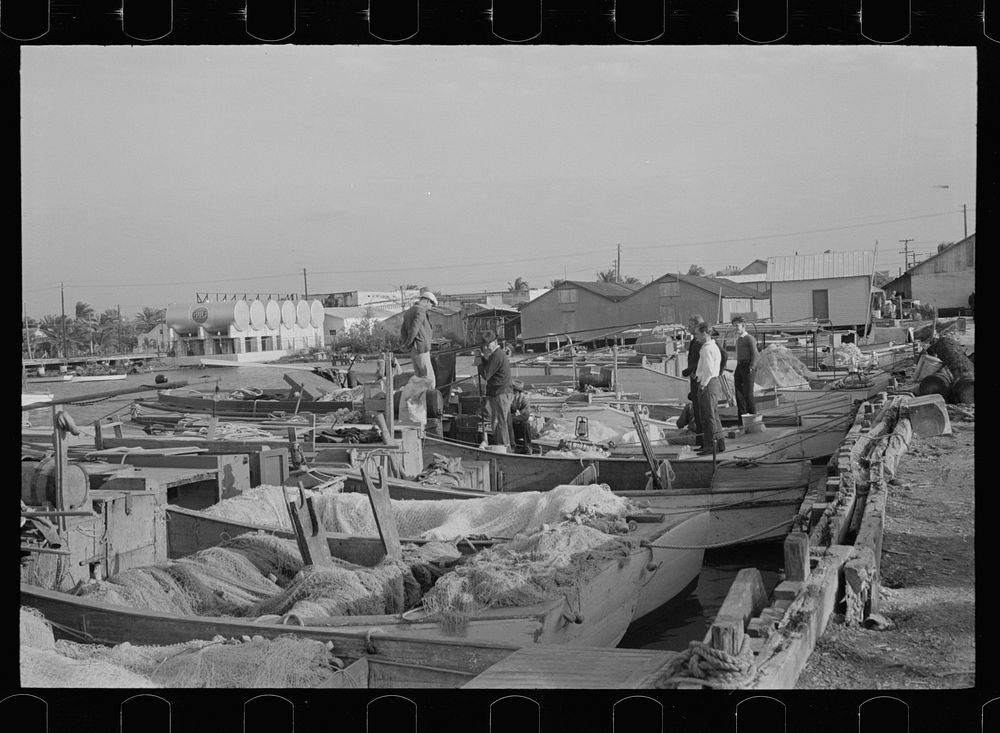 [Untitled photo, possibly related to: Fishermen, Key West, Florida]. Sourced from the Library of Congress.