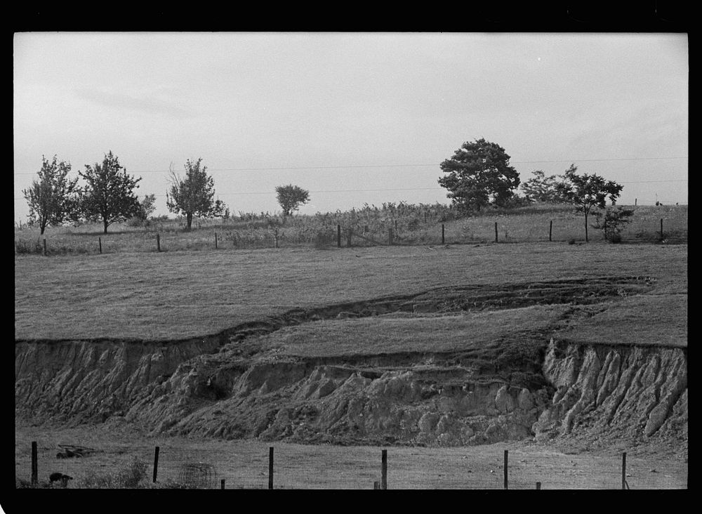 [Untitled photo, possibly related to: Eroded farmland, Martin County, Indiana]. Sourced from the Library of Congress.