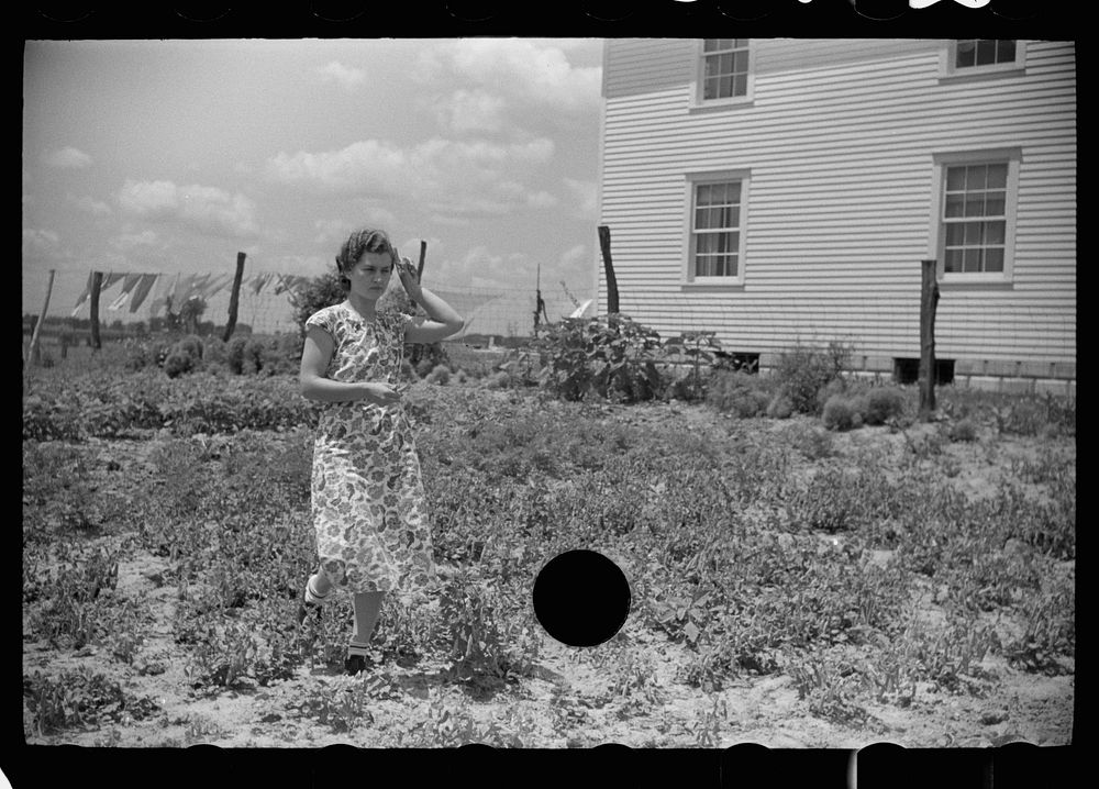 [Untitled photo, possibly related to: Farmer's wife picking beans in garden, Scioto Farms, Ohio]. Sourced from the Library…