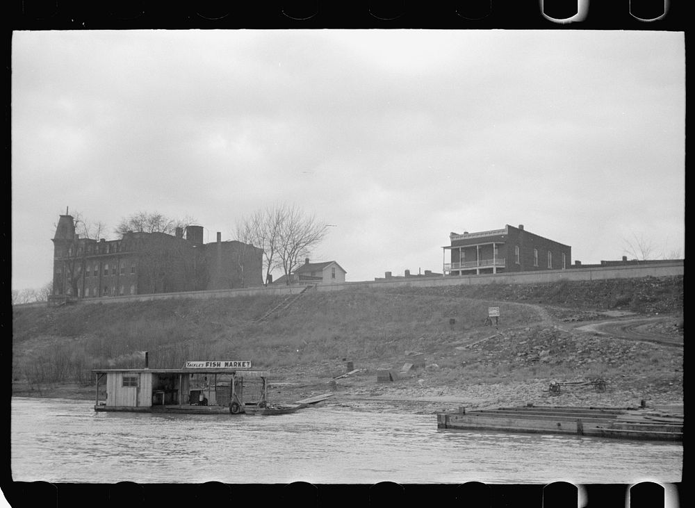 [Untitled photo, possibly related to: Levee at Shawneetown, Illinois]. Sourced from the Library of Congress.