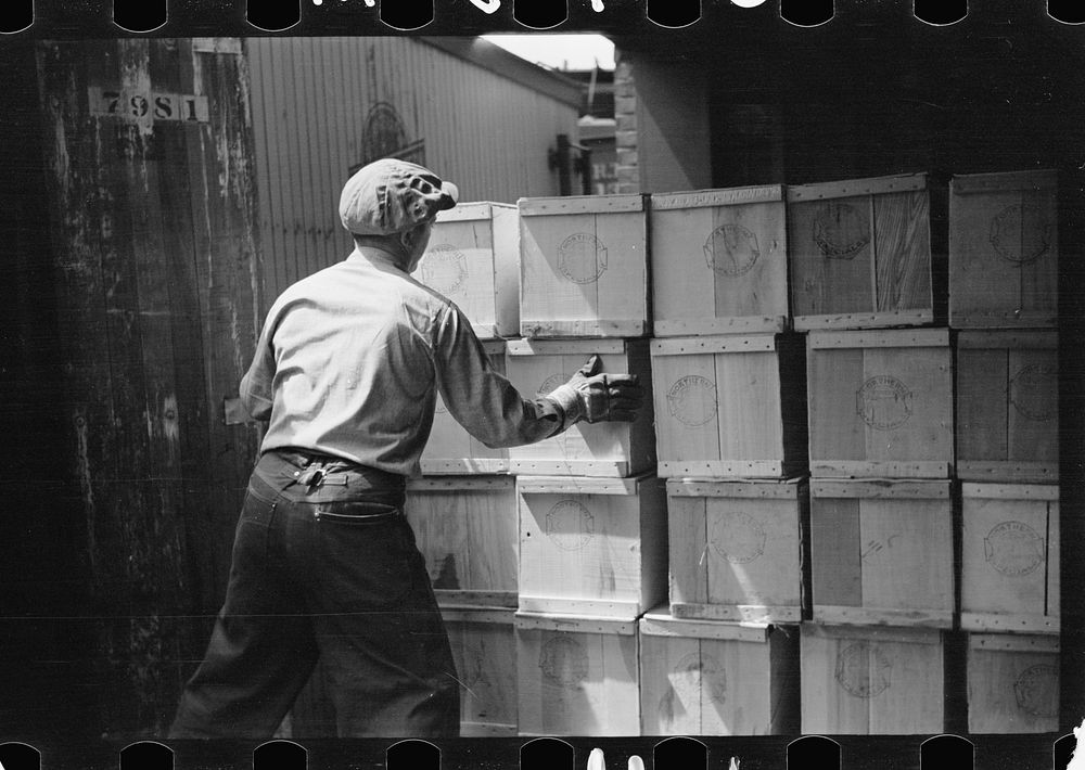 [Untitled photo, possibly related to: Packing eggs in cold storage warehouse, Jersey City, New Jersey]. Sourced from the…