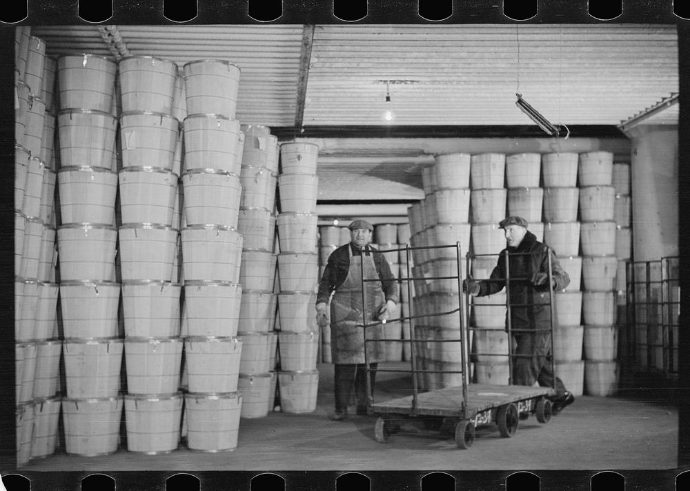 [Untitled photo, possibly related to: Packing eggs in cold storage warehouse, Jersey City, New Jersey]. Sourced from the…