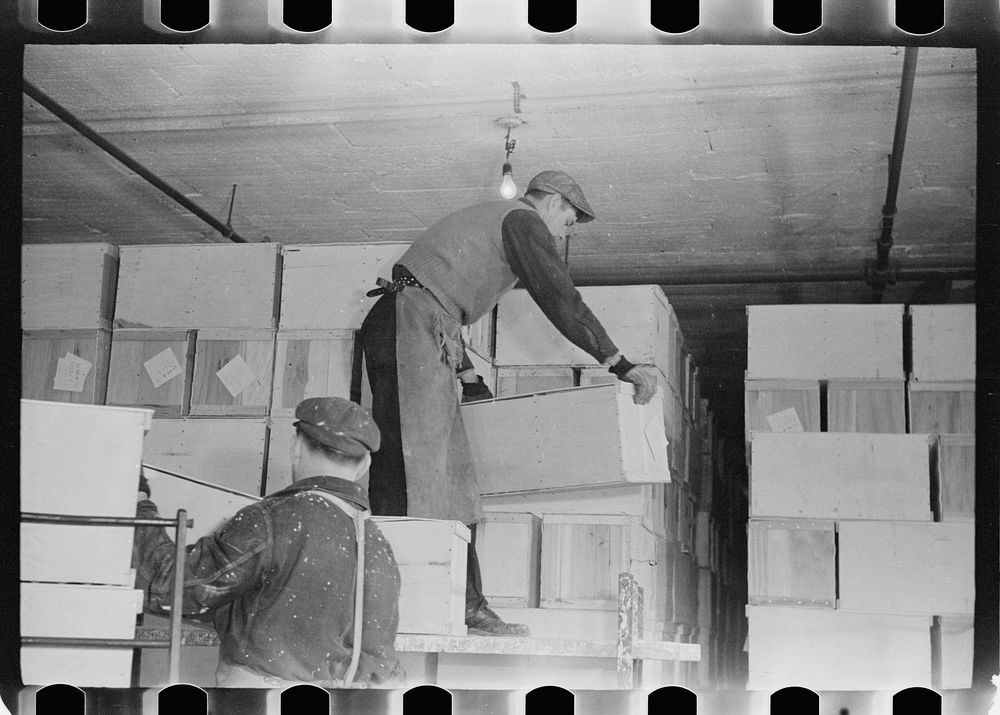 Packing eggs in cold storage warehouse, Jersey City, New Jersey. Sourced from the Library of Congress.