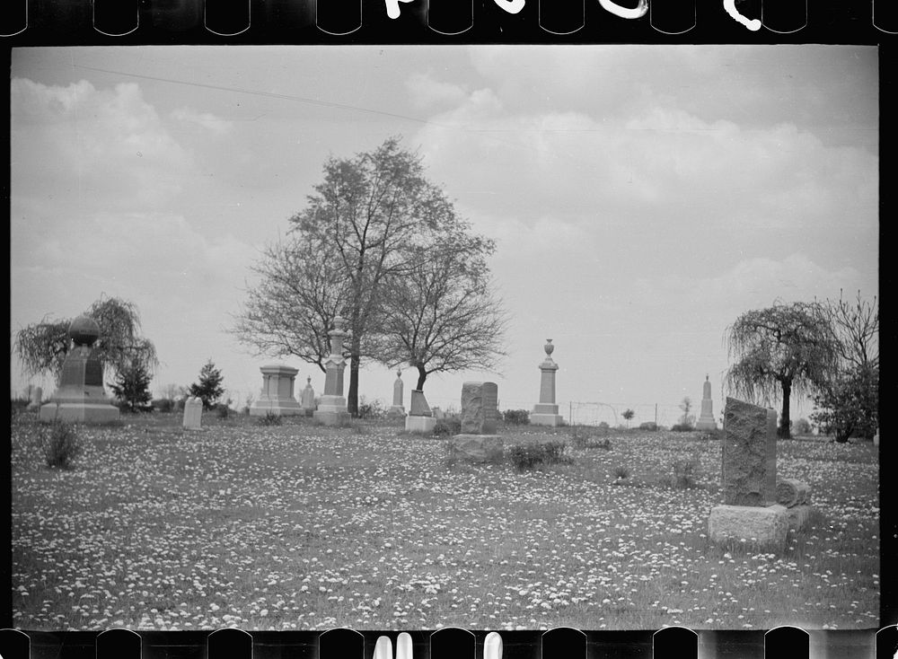 Graveyard in suburbs of Chicago, Illinois. Sourced from the Library of Congress.