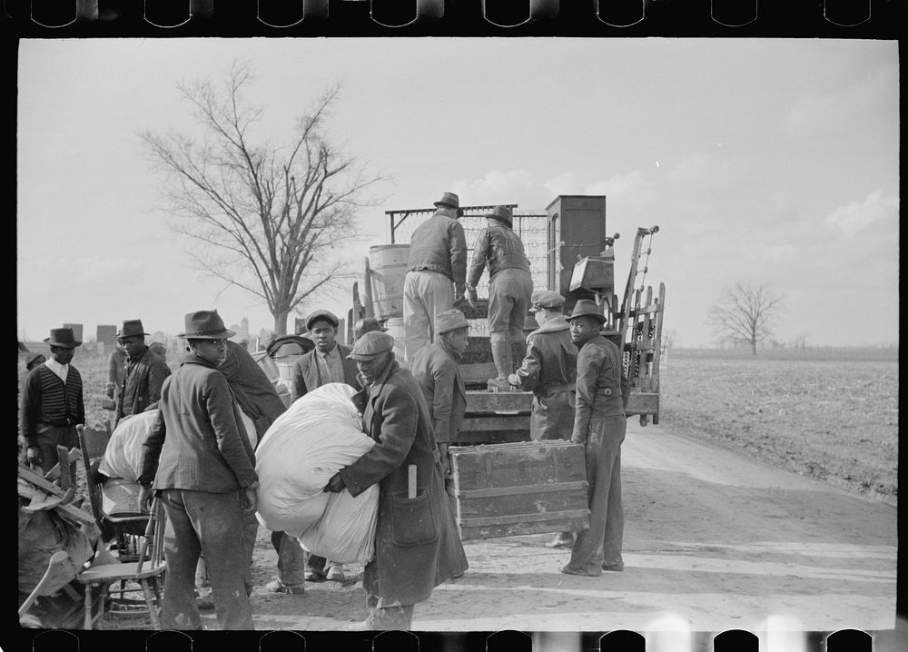 [Untitled photo, possibly related to: State highway officials moving evicted sharecroppers away from roadside to area…