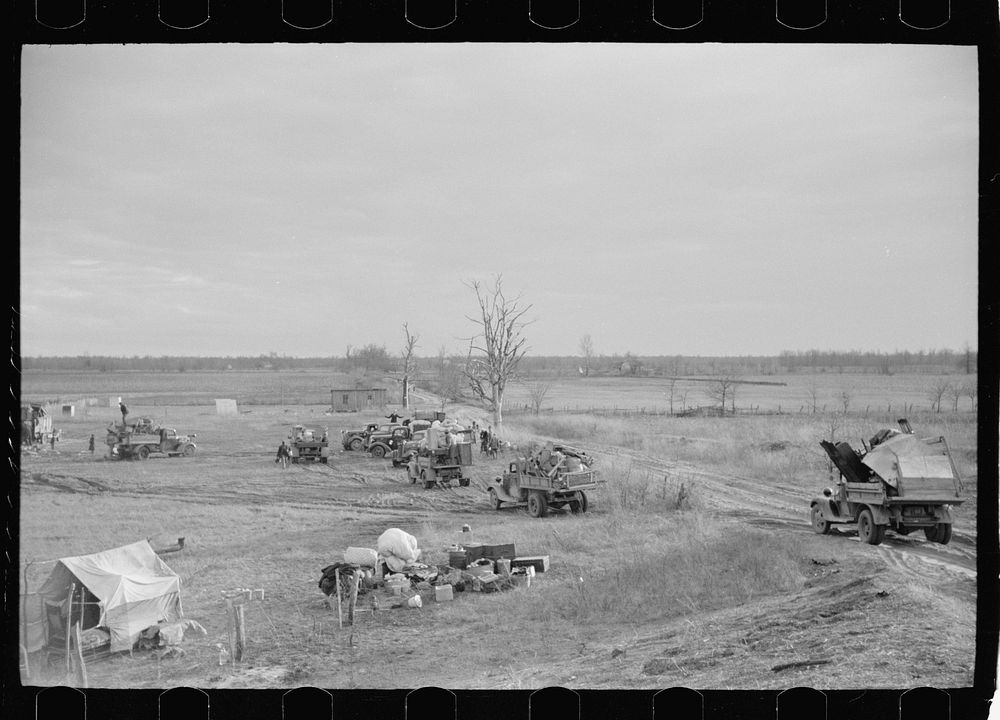 [Untitled photo, possibly related to: New Madrid spillway, where evicted sharecroppers were moved from highway, New Madrid…