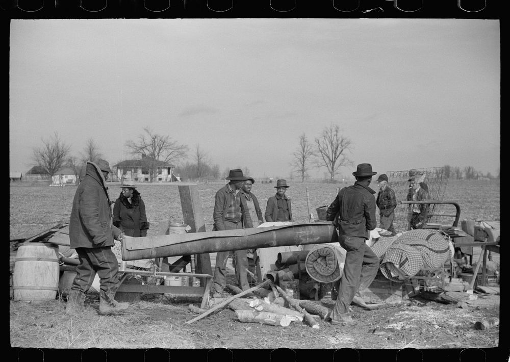 [Untitled photo, possibly related to: Sharecroppers being moved from roadside to area between the levee and the Mississippi…
