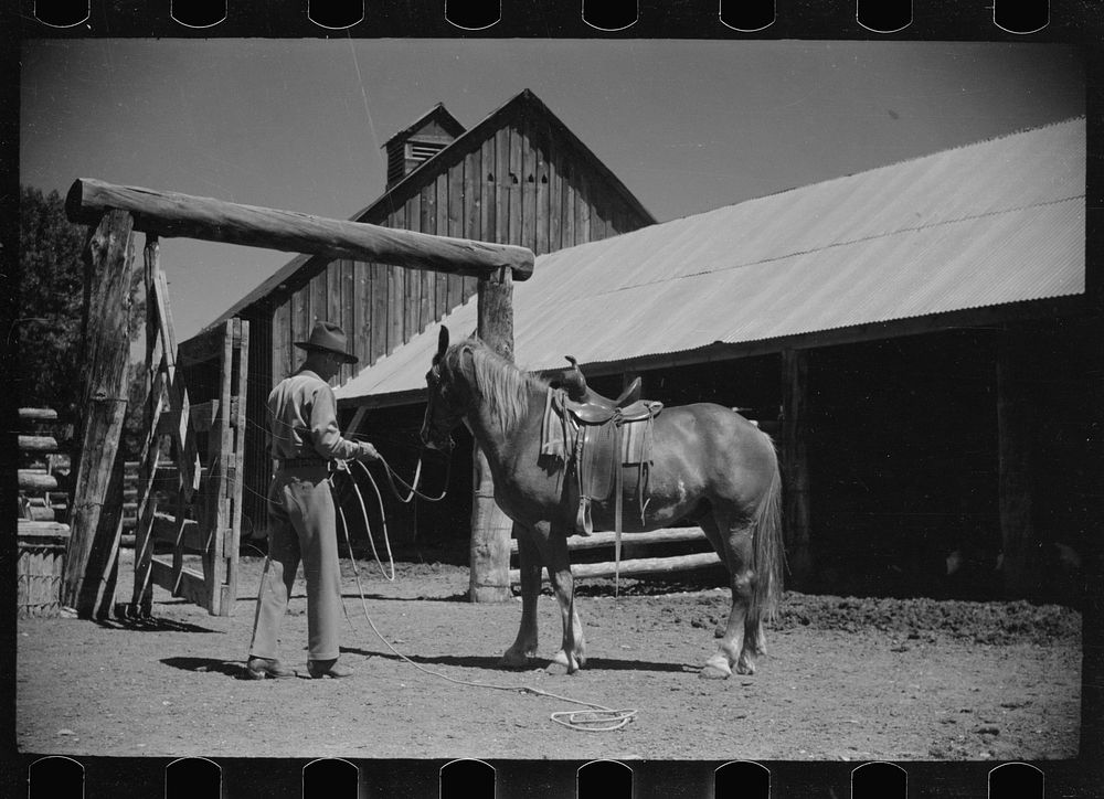 Jack Arnold saddling a horse, Quarter Circle U Ranch, Montana. Sourced from the Library of Congress.