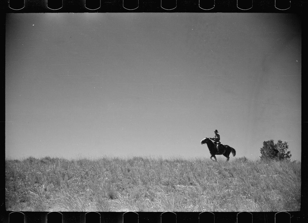 [Untitled photo, possibly related to: Jack Arnold looking over the Quarter Circle U Ranch which he owns, Rosebud County…