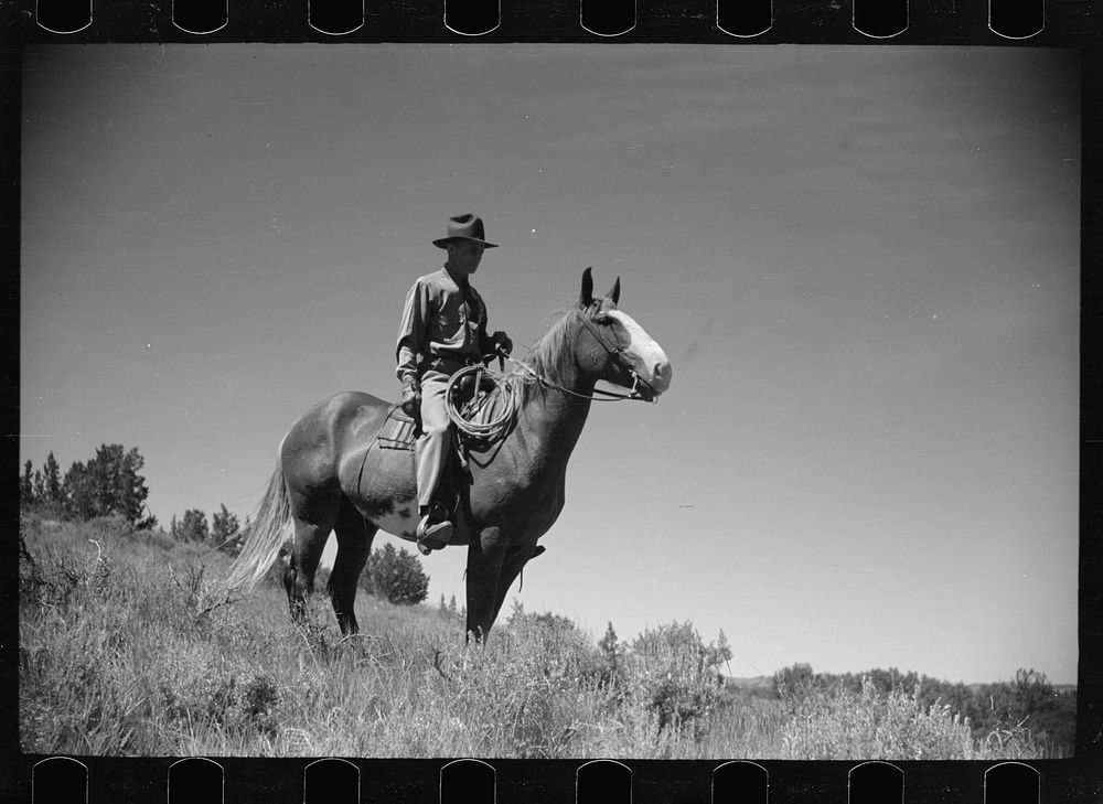 Jack Arnold, owner of Quarter Circle U Ranch, Montana. Sourced from the Library of Congress.