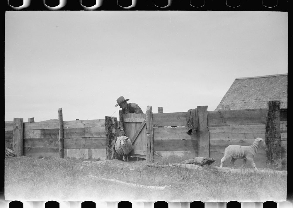 [Untitled photo, possibly related to Free Photo rawpixel