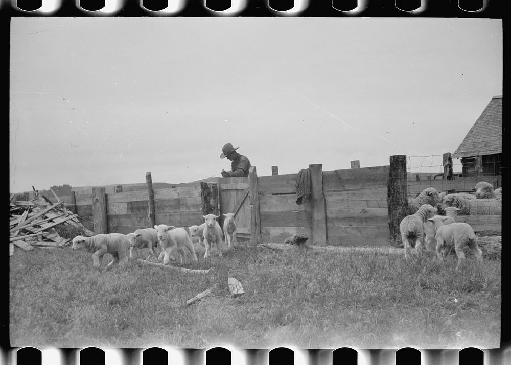 [Untitled photo, possibly related to Free Photo rawpixel