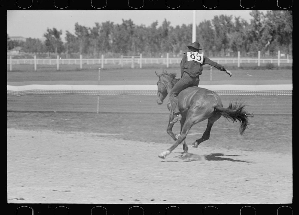 [Untitled photo, possibly related to: Riding a bucking horse, rodeo, Miles City, Montana]. Sourced from the Library of…