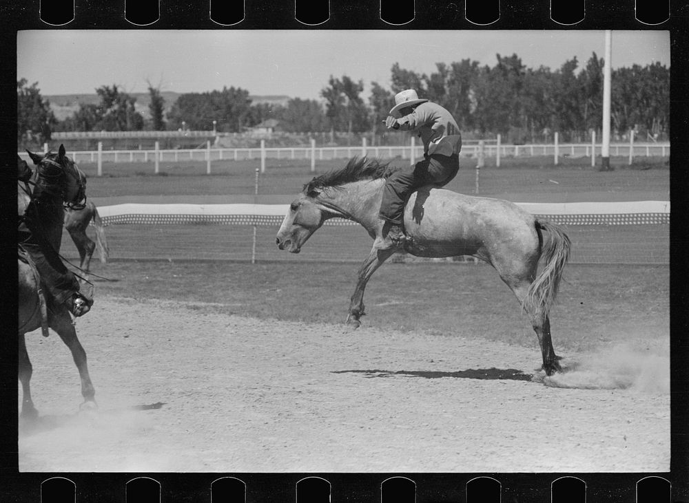 Riding a bucking horse, rodeo, Miles City, Montana. Sourced from the Library of Congress.