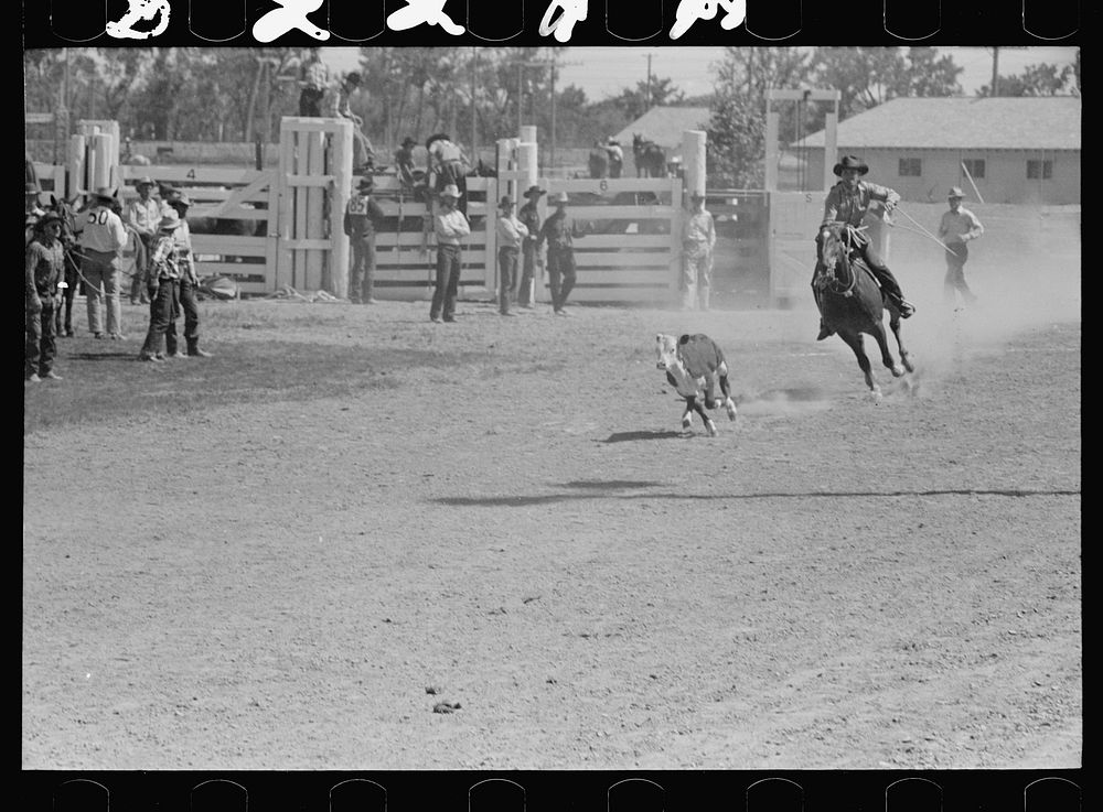 [Untitled photo, possibly related to: Roping a calf, rodeo, Miles City, Montana]. Sourced from the Library of Congress.