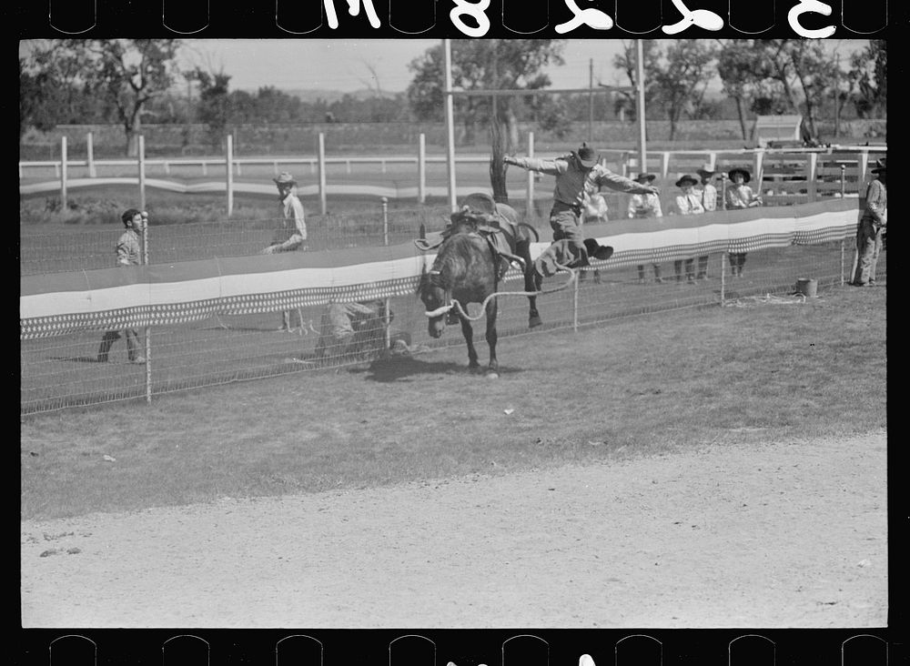 [Untitled photo, possibly related to: Bronco rider, rodeo, Miles City, Montana]. Sourced from the Library of Congress.