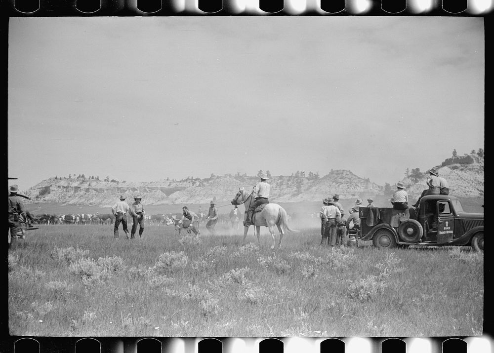 [Untitled photo, possibly related to: Branding at Quarter Circle U Ranch roundup, Montana]. Sourced from the Library of…