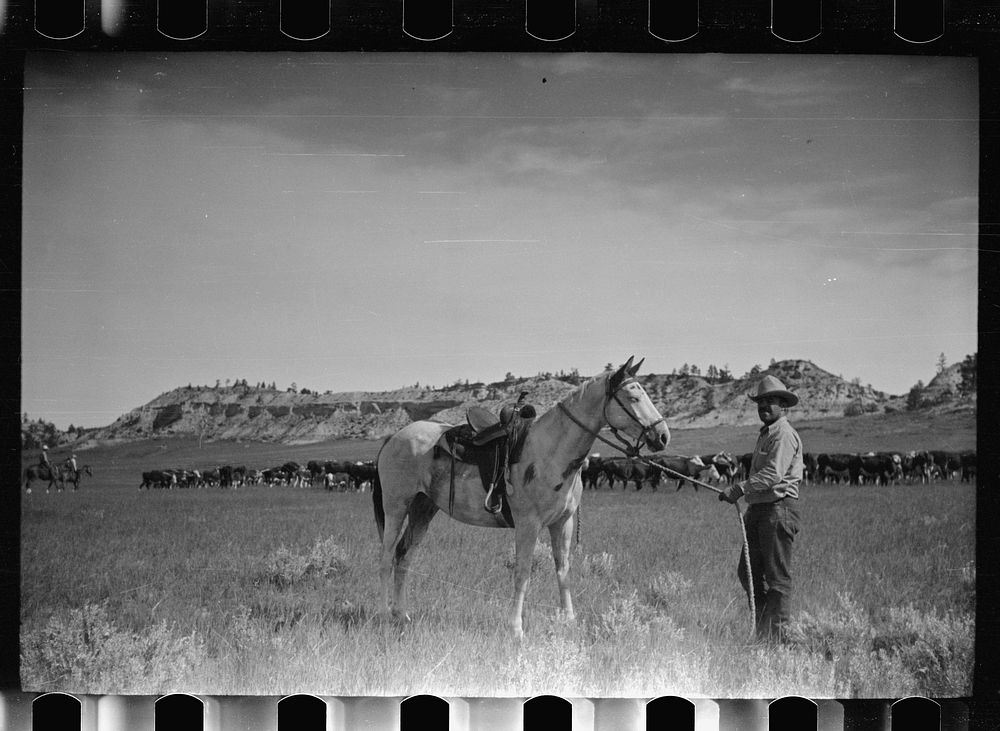 Burton Brewster, part owner of Quarter Circle U Ranch at their roundup, Montana. Sourced from the Library of Congress.