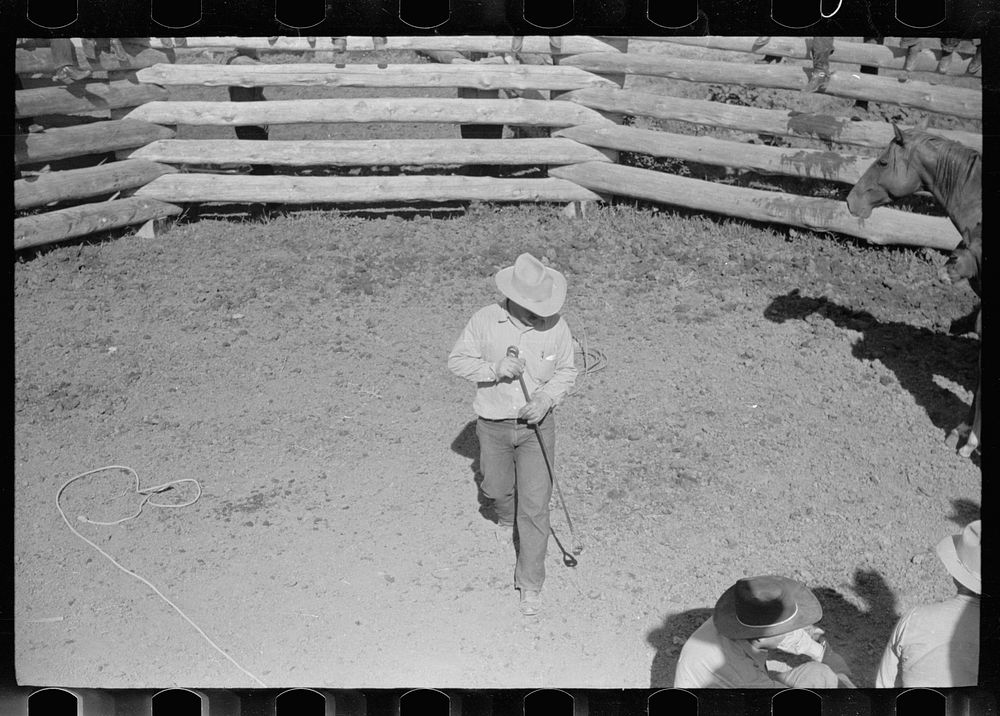 [Untitled photo, possibly related to: Roping colt for branding, Quarter Circle U roundup, Montana]. Sourced from the Library…