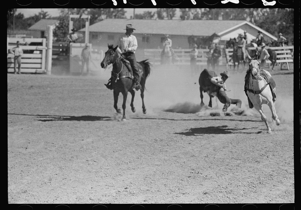[Untitled photo, possibly related to: Bulldogging, rodeo, Miles City Montana]. Sourced from the Library of Congress.
