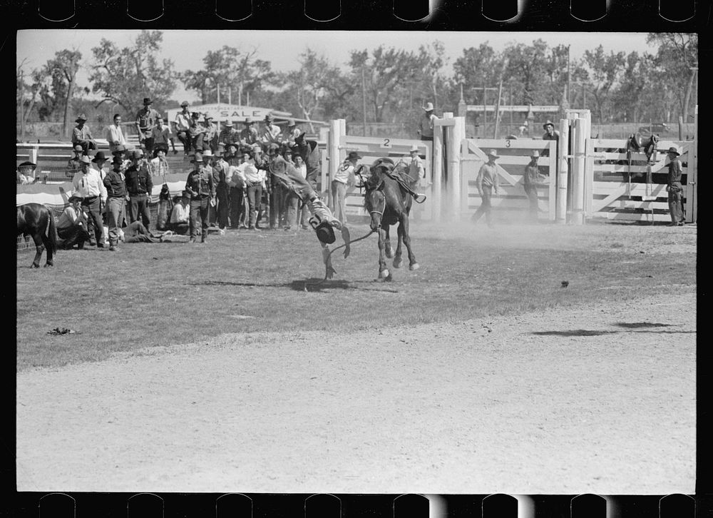 Bronco rider, rodeo, Miles City, Montana. Sourced from the Library of Congress.
