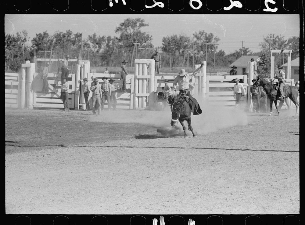 [Untitled photo, possibly related to: Bronc rider, rodeo, Miles City, Montana]. Sourced from the Library of Congress.