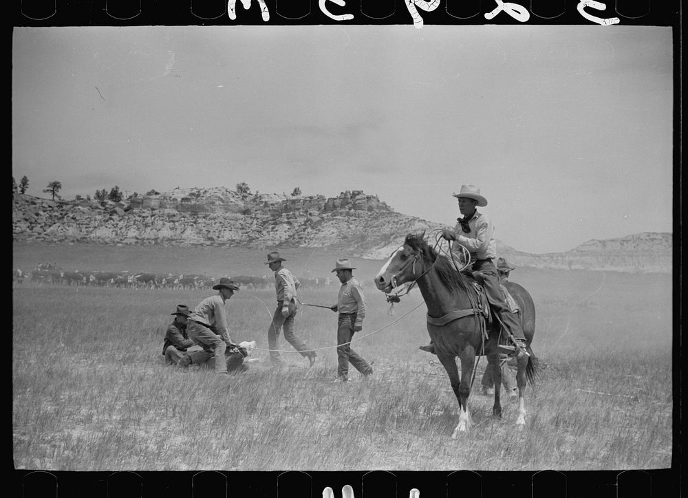 [Untitled photo, possibly related to: Catching a strayed colt, Quarter Circle U roundup, Montana]. Sourced from the Library…