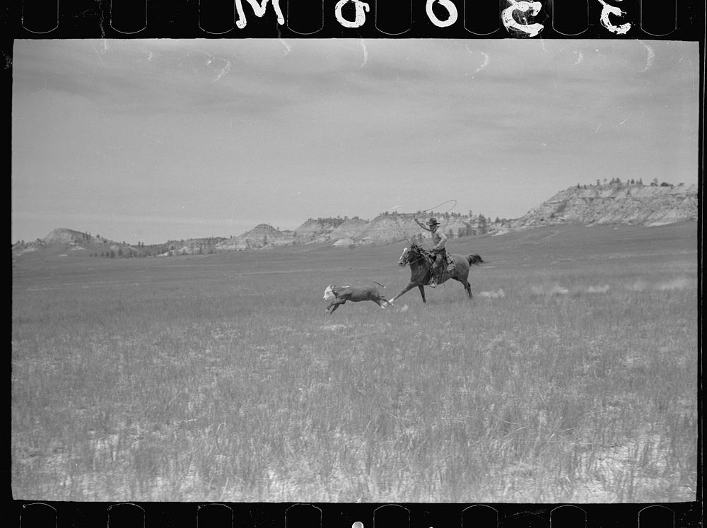 [Untitled photo, possibly related to: Branding, Quarter Circle U roundup, Montana]. Sourced from the Library of Congress.