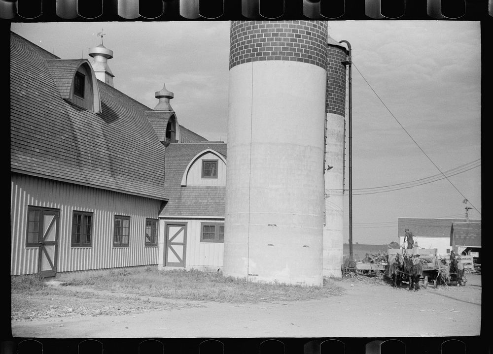 Silo and barn, Brandtjen Dairy Farm, Dakota County, Minnesota. Sourced from the Library of Congress.