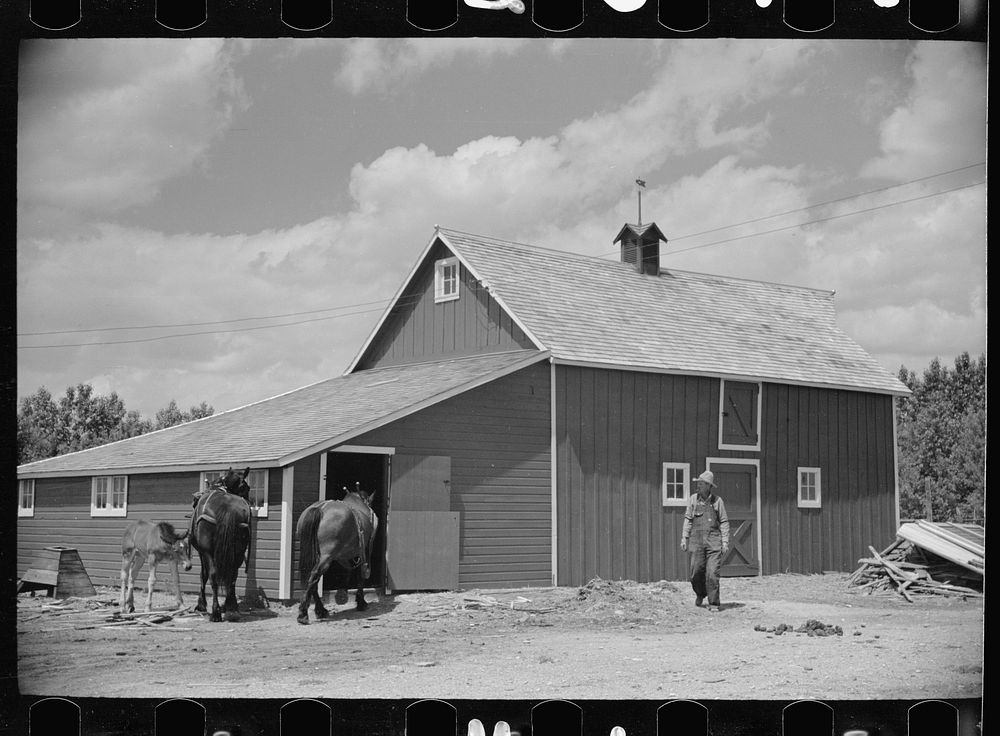 [Untitled photo, possibly related to: Resettled farmer with barn and team obtained through FSA (Farm Security…