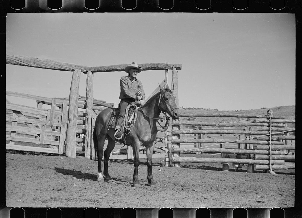 [Untitled photo, possibly related to: Cowboy mounting horse, Quarter Circle U Ranch, Big Horn County, Montana]. Sourced from…