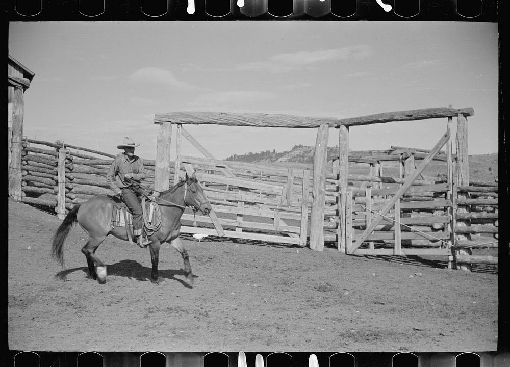 [Untitled photo, possibly related to: Cowboy mounting horse, Quarter Circle U Ranch, Big Horn County, Montana]. Sourced from…
