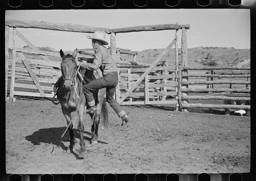 Cowboy mounting horse, Quarter Circle U Ranch, Big Horn County, Montana. Sourced from the Library of Congress.