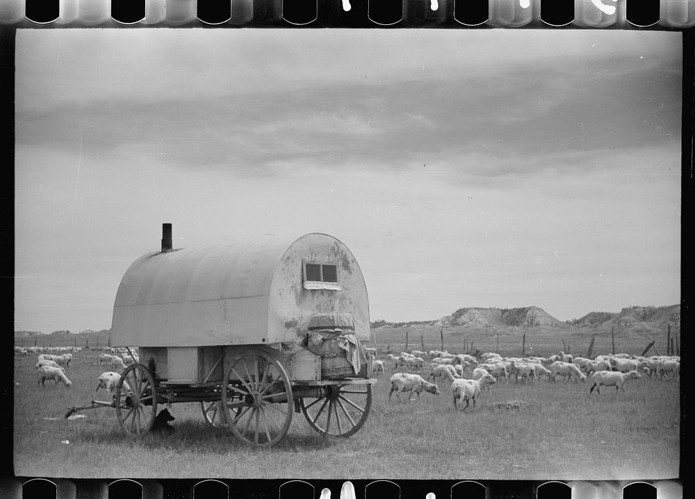 [Untitled photo, possibly related to: Sheepherder's wagon, Rosebud County, Montana]. Sourced from the Library of Congress.