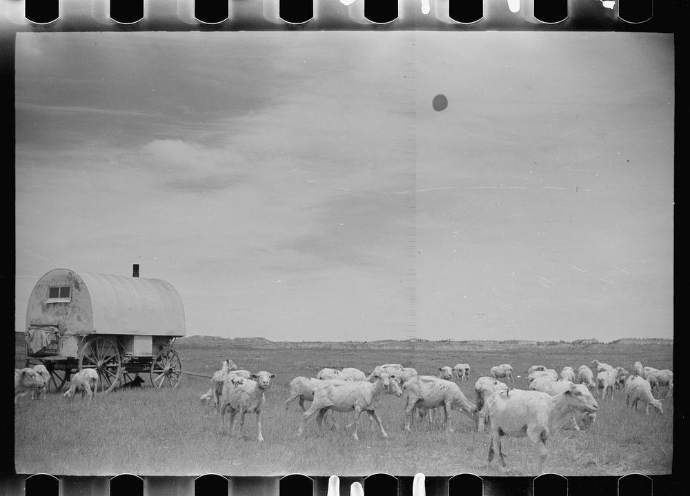 [Untitled photo, possibly related to: Sheepherder's wagon, Rosebud County, Montana]. Sourced from the Library of Congress.