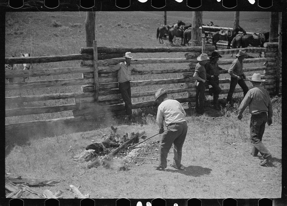 Removing branding irons from fire, Three Circle roundup, Custer National Forest, Montana. Sourced from the Library of…