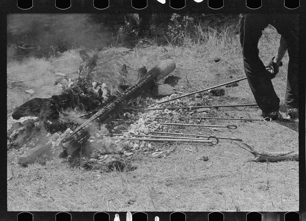 [Untitled photo, possibly related to: Removing branding irons from fire, Three Circle roundup, Custer National Forest…