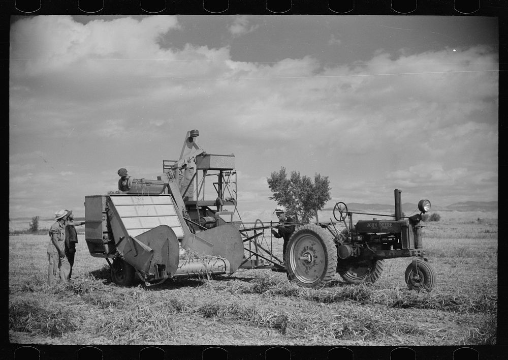 Bean threshers, western Colorado. Sourced from the Library of Congress.