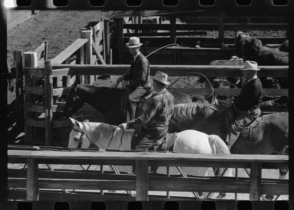 Buyers from the big packing plant in the stockyards, Denver, Colorado. Sourced from the Library of Congress.