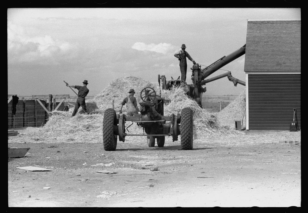 [Untitled photo, possibly related to: Threshing grain, San Luis Valley Farms, Alamosa, Colorado]. Sourced from the Library…