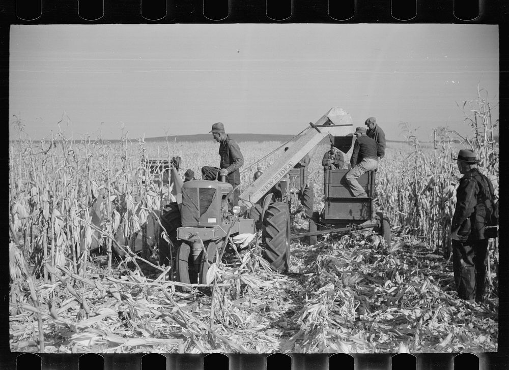 Contest for mechanical corn pickers, Hardin County, Iowa. Sourced from the Library of Congress.