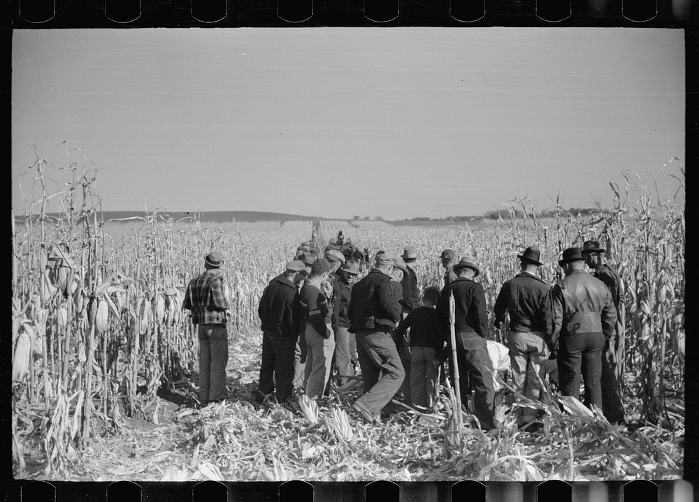 [Untitled photo, possibly related to: Contest for mechanical corn pickers, Hardin County, Iowa]. Sourced from the Library of…