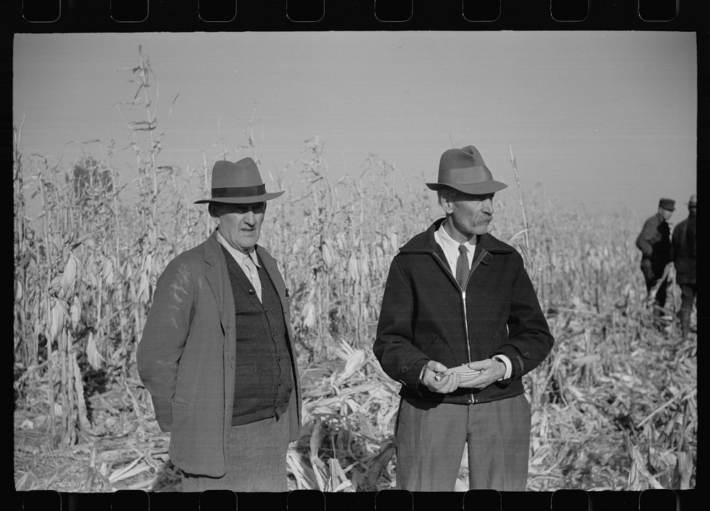 Farmers at mechanical cornhusking contest, Hardin County, Iowa. Sourced from the Library of Congress.