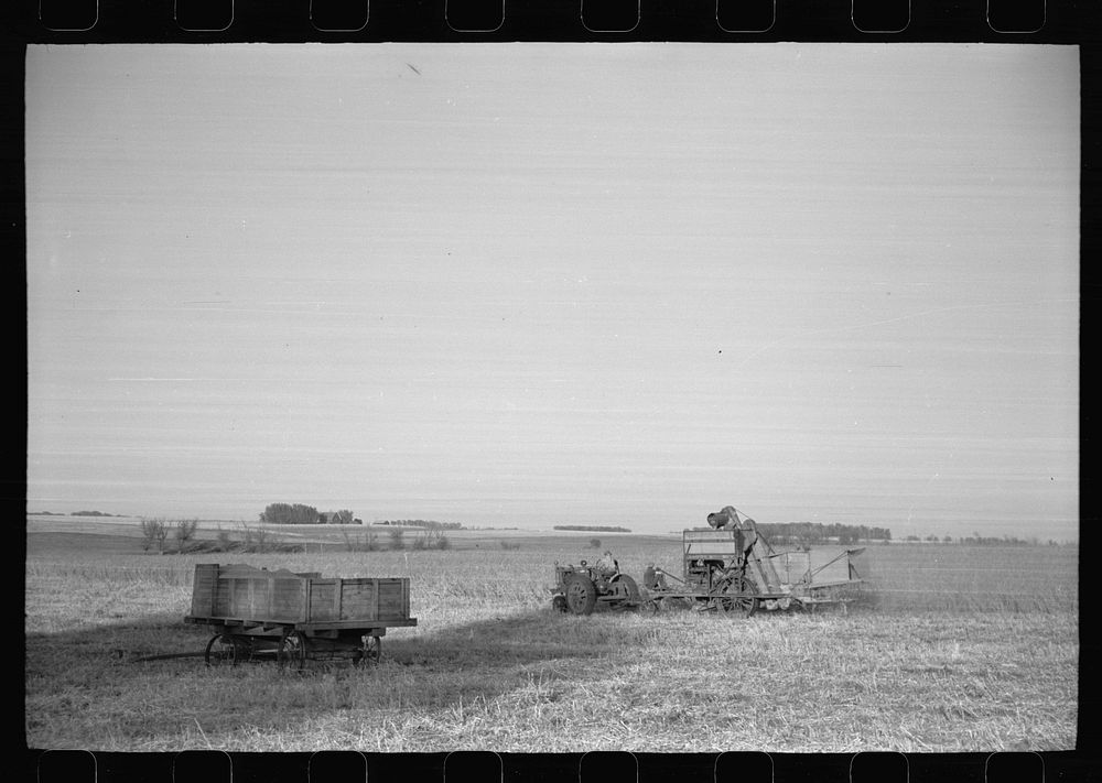 [Untitled photo, possibly related to: Wagon full of corn comes in from the field, Grundy County, Iowa]. Sourced from the…