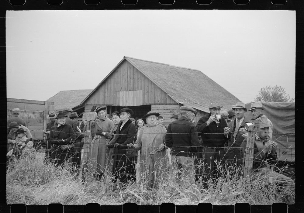 Spectators at cornhusking contest, Marshall County, Iowa. Sourced from the Library of Congress.